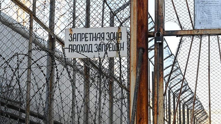 Die Zahl der verurteilten politischen Gefangenen in Russland beziffert Mariana Katzarova auf mindestens 1372.