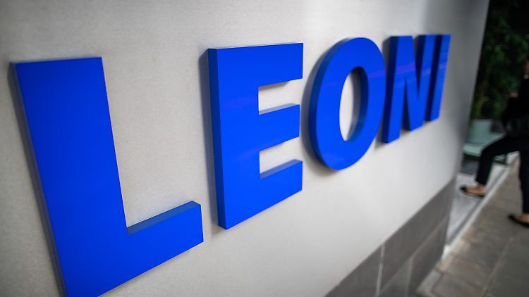 Leoni geht zu 50,1 Prozent an Lushare.