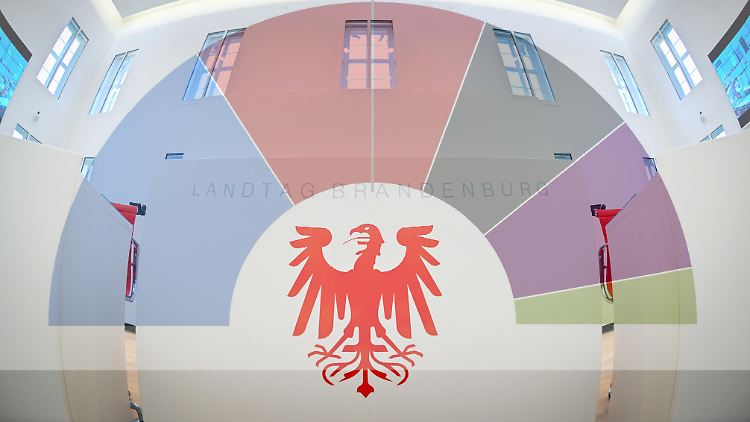 Ausblick auf Brandenburg nach der Wahl: Wie sehen die Koalitionsoptionen im Potsdamer Landtag aus? (Bild-Montage)