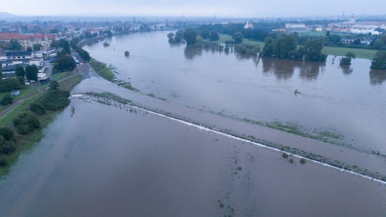 Die Elbe tritt in der Flutrinne zwischen den Dresdner Stadtteilen Kaditz und Mickten über das Ufer.