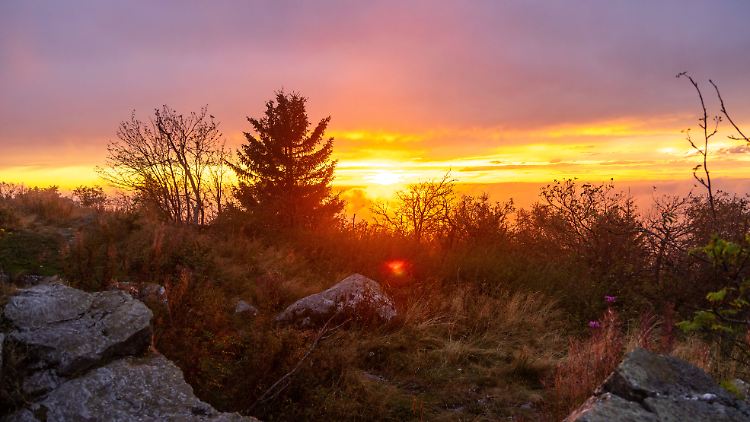 Nach Regenschauern scheint die Sonne durch Nebelschwaden am Großen Feldberg.