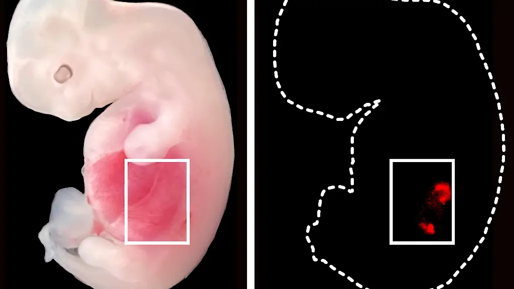 Nicht-weiterverwenden-2