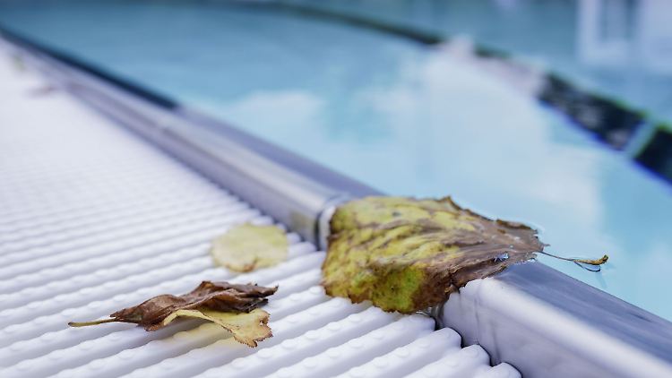 Wer einen Pool unter Nachbars Eichen baut, kann keine Entschädigung für den Laubfall verlangen.