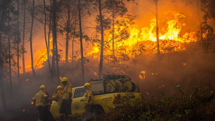 Die Feuerwehr in Portugal hofft nun auf Regen und nachlassende Winde.
