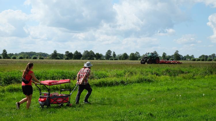 Keine Angst vor nassen Füßen: Wallstein und ihr Mitarbeiter kürzen über ein Feld den Weg zum nächsten Dorf ab.