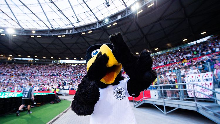 Die Bewerbung dürfte auch Maskottchen Paule freuen.