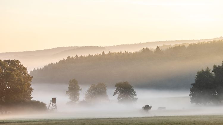 In der Nacht zu Montag ist mit dichtem Nebel zu rechnen. 