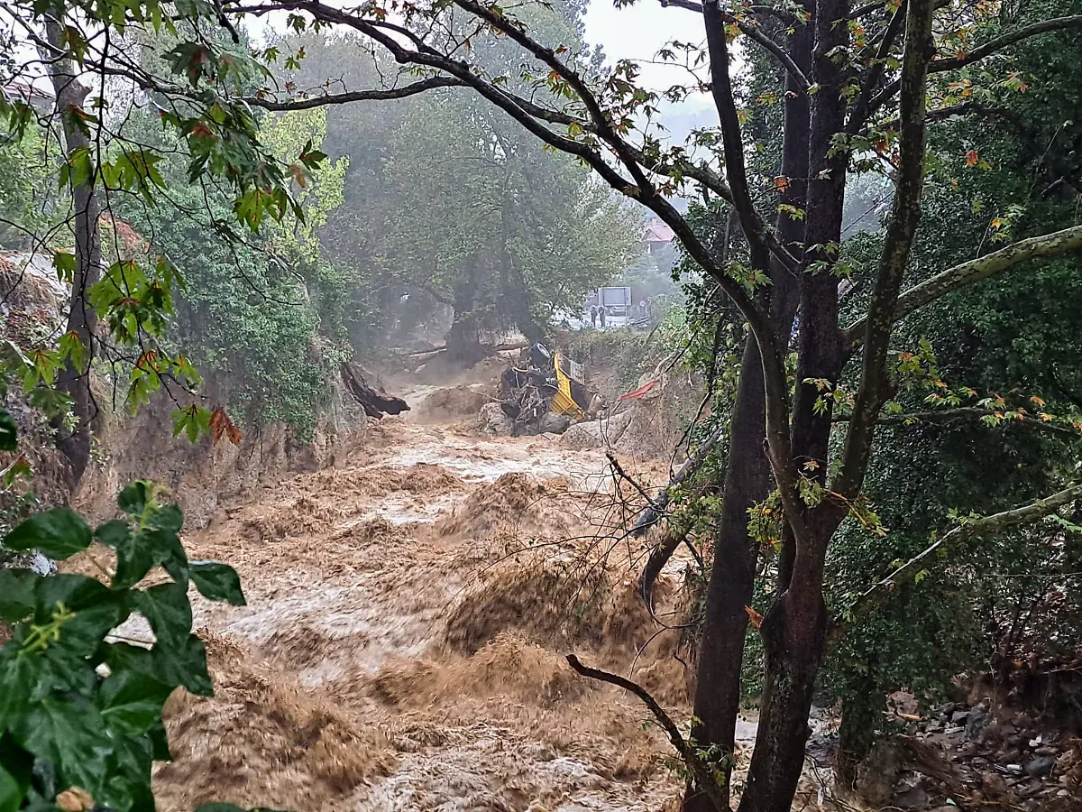 245a34f36a71bea3adbdca87a65f5647