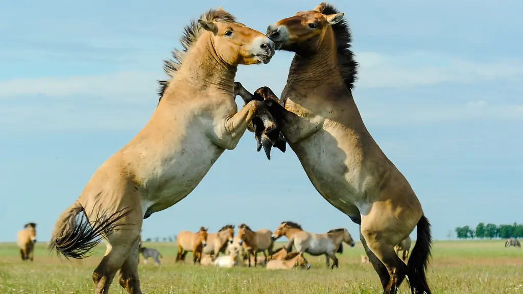 ACHTUNG-Nur-im-Zusammenhang-mit-der-aktuellen-Berichterstattung