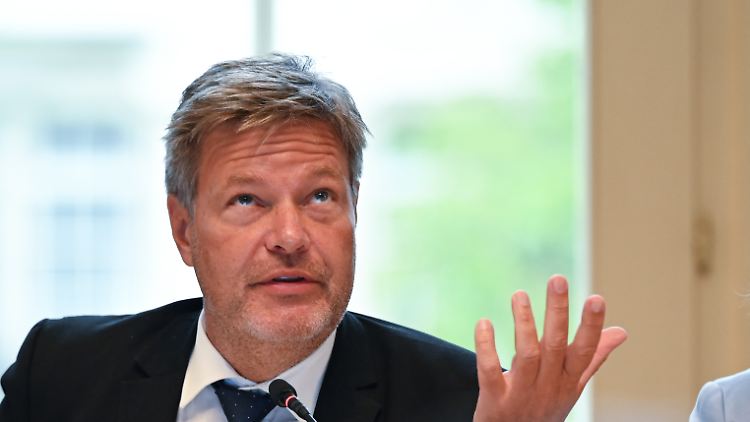 Man müsste viel größer denken, doch das Geld fehlt: Wirtschaftsminister Habeck hadert mit der Schuldenbremse. 