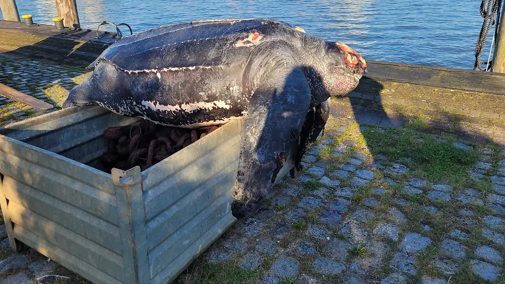 cfa32096cd6be71314adbf23582129b1