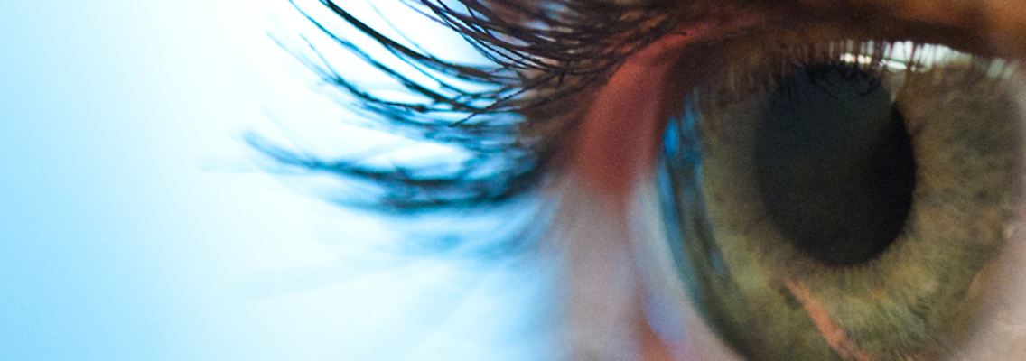 Auge.jpg