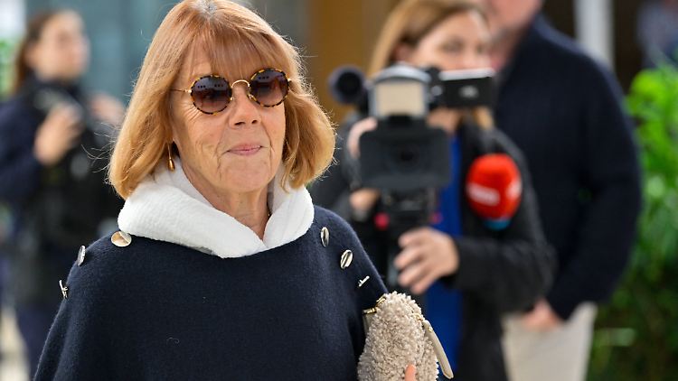 Gisèle Pelicots Ex-Mann Dominique Pelicot hat gestanden, seine Frau von 2011 bis 2020 immer wieder mit Schlafmitteln betäubt und vergewaltigt zu haben.