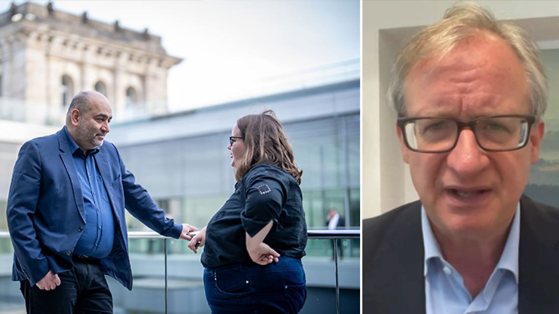 Lucke_Grüne.jpg