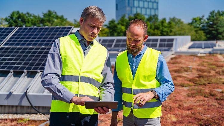 Kann man auf Flachdächern gut kombinieren: Pflanzen und Solaranlagen.