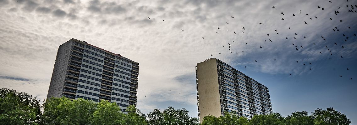 imago0720760877h.jpg