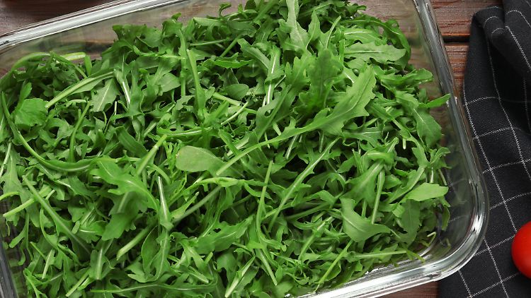 Das RKI vermutet kontaminierten Rucola als Quelle der Infektionen.