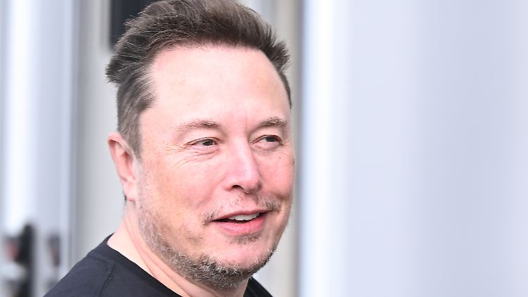 Tesla-Chef Musk nannte den Krankenstand in Grünheide "verrückt". 