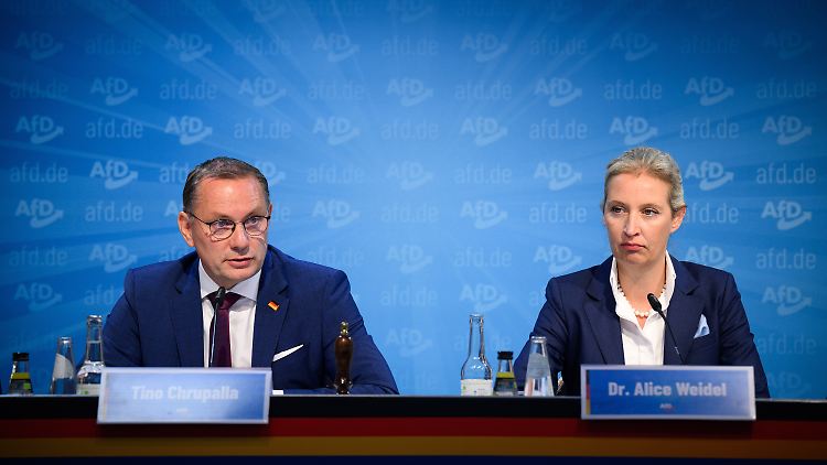 Ob die Partei von Chrupalla und Weidel verboten wird, entscheidet das Bundesverfassungsgericht.