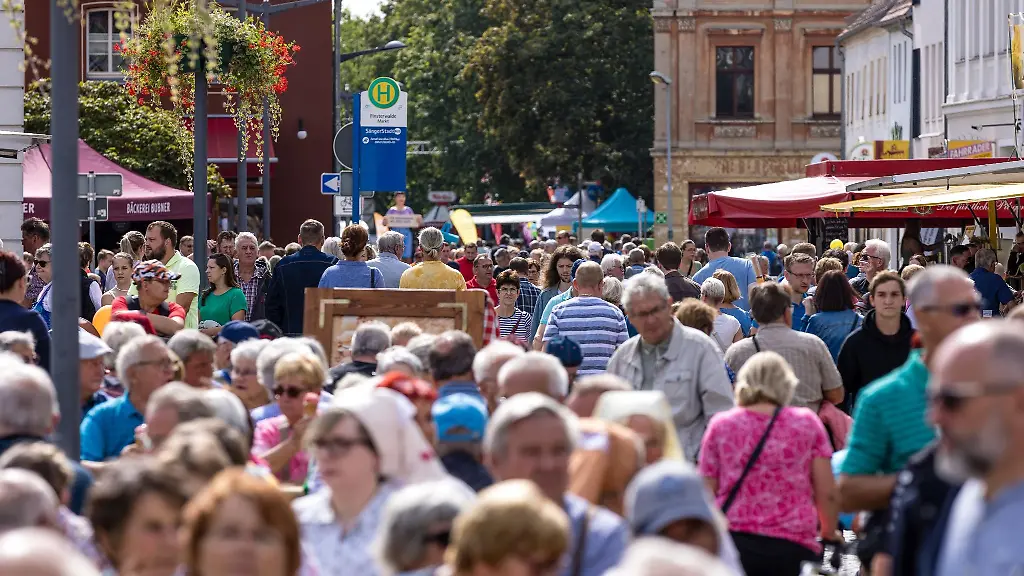 Menschen-laufen-ueber-die-Feststrecke-beim-Brandenburg-Tag
