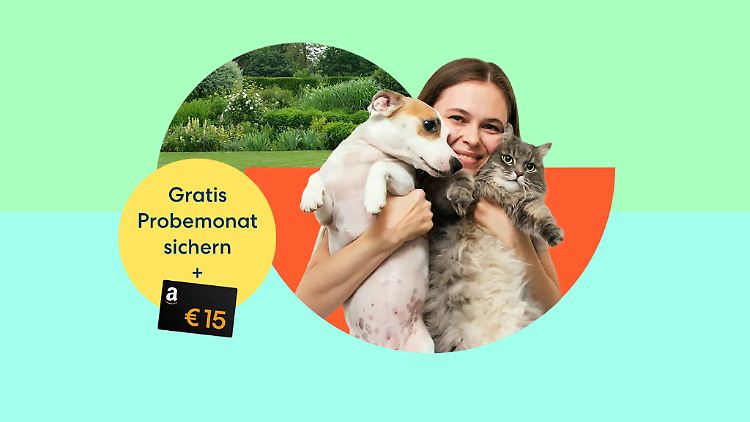 Von der Tierkrankenversicherung der DA Direkt haben dank einer Gutscheinaktion auch Herrchen und Frauchen was.