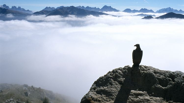 Vor dem Panorama der rauen Bergwelt Tirols entfaltet Regina Denks Roman einen erzählerischen Sog.