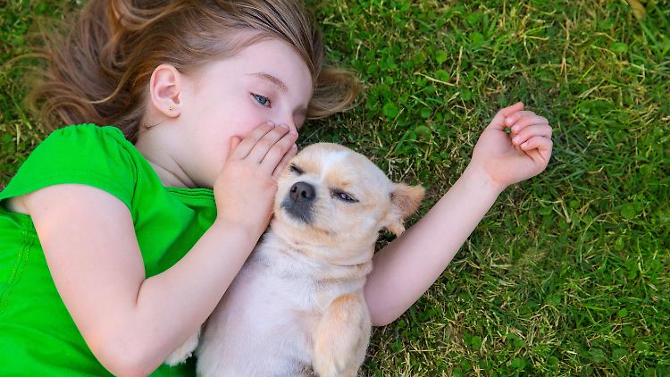 Hunde behalten viele Geheimnisse, die ihnen anvertraut werden, für sich. 