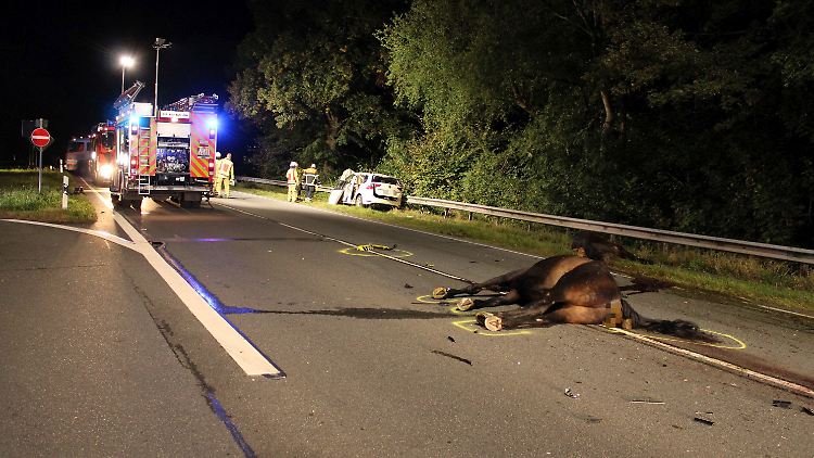 Für den Taxifahrer und die Pferde kam jede Hilfe zu spät.