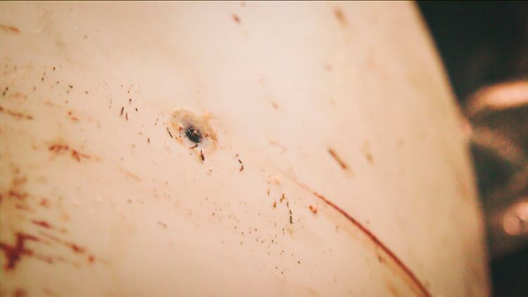 Laut einem Obduktionsbericht handelt es sich bei Hvaldimirs Wunden nicht um Schussverletzungen.