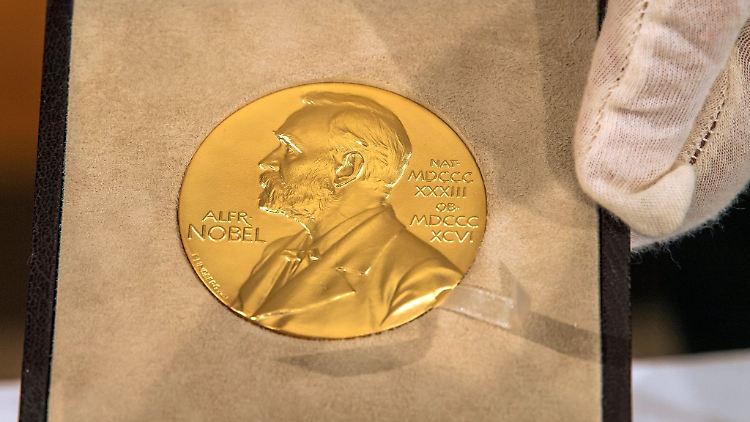 Die Nobelpreisträger für Medizin 2024 stehen fest.