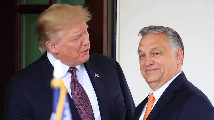 Trump und Orban scheinen sich gut zu verstehen. 