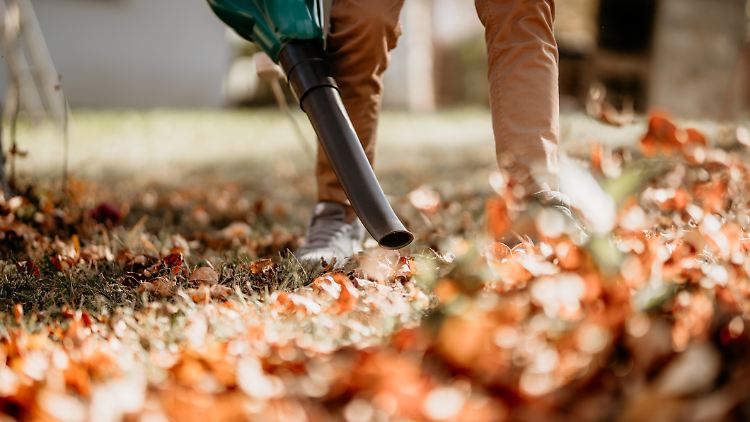 Praktischer Helfer im Herbst: Ein Laubbläser befreit Gärte und Wege komfortabel von heruntergefallenen Blättern.