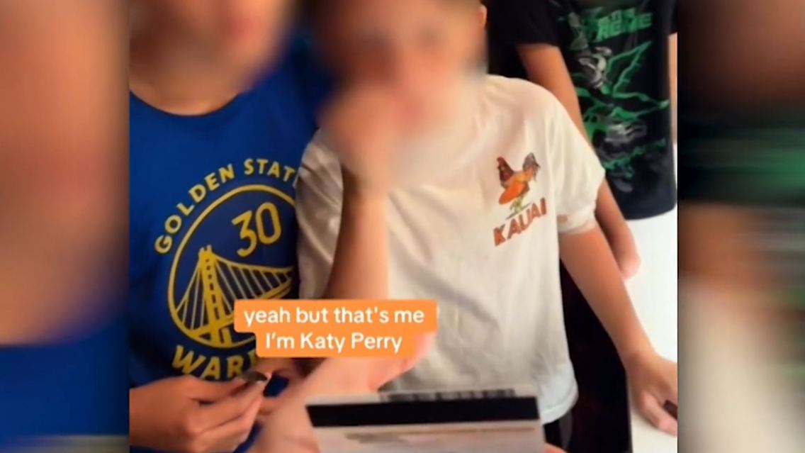 KatyPerryAusweis.JPG