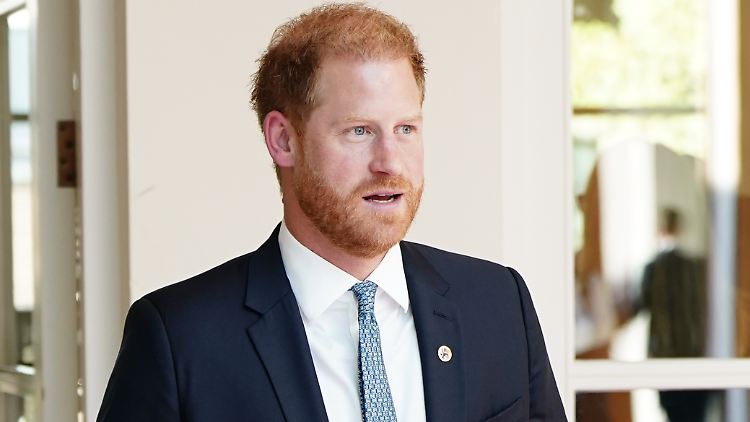 Schrieb seine beiden Bücher nicht allein: Prinz Harry.