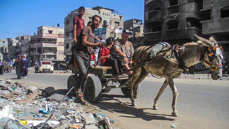 Im Norden des Gazastreifen können laut Welternährungsprogramm 400.000 Menschen seit Anfang Oktober nicht mehr mit Lebensmitteln versorgt werden. 