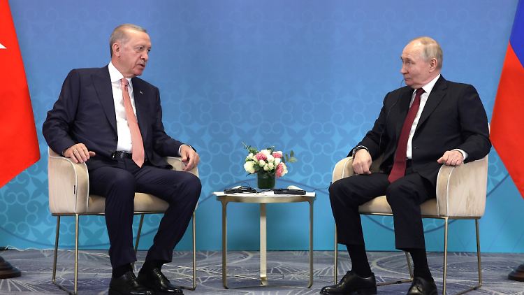 Eine Vase steht zwischen Putin und Erdogan - aber nicht die besagte, von der es bislang kein Bild gibt.