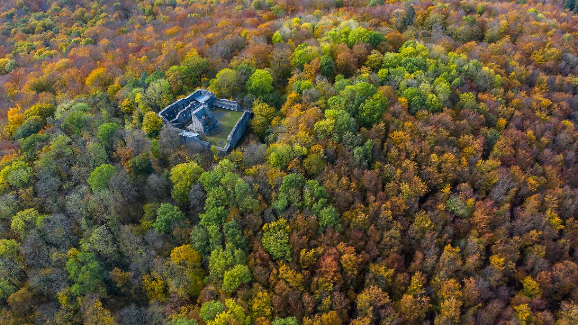 Ein Hauch von "Indian Summer" im Herbst ...