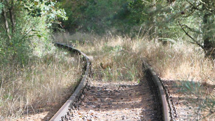 Tausende Kilometer an alten Bahnstrecken sollten reaktiviert werden, wenn es nach VDV und Allianz pro Schiene geht.