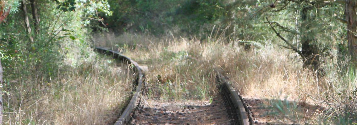 Tausende Kilometer an alten Bahnstrecken sollten reaktiviert werden, wenn es nach VDV und Allianz pro Schiene geht.