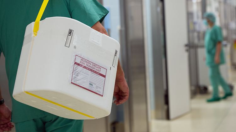 Tausende Menschen in Deutschland warten auf neue Organe. 