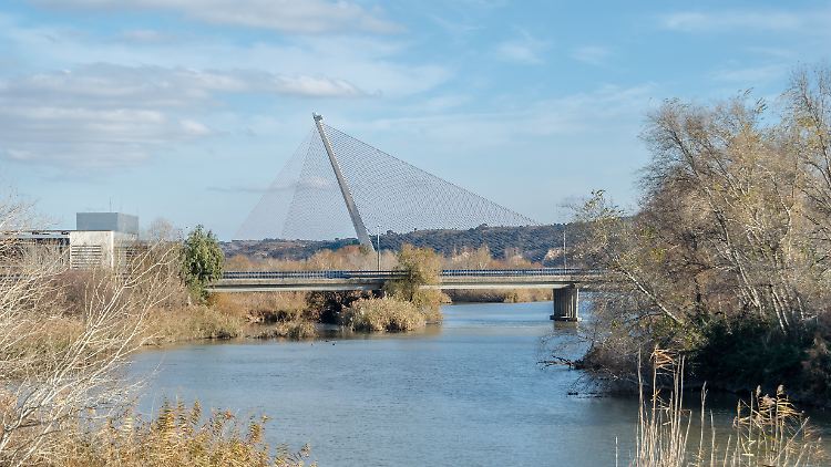Mit ihrem 192 Meter hohen Pylon ist die Castilla-La-Mancha-Brücke in der Stadt Talavera die höchste ihrer Art in Spanien.