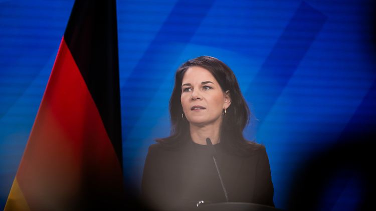 Soll über Waffenlieferungen an Israel aufklären: Annalena Baerbock.