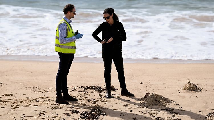 Am Coogee Beach ruht der Badebetreb.
