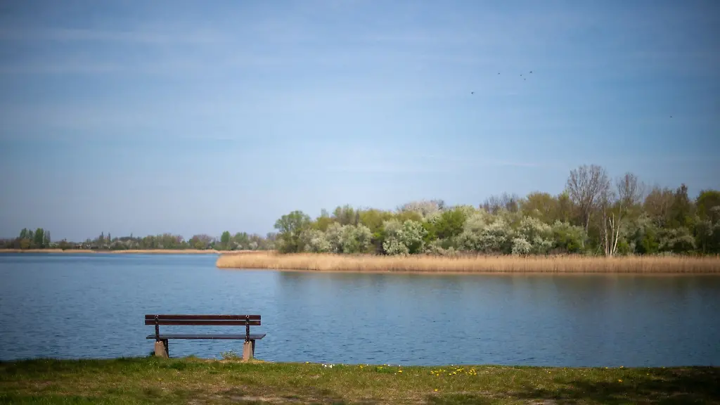 Eine-Bank-steht-am-Ufer-des-Strandbades-Neustaedter-See
