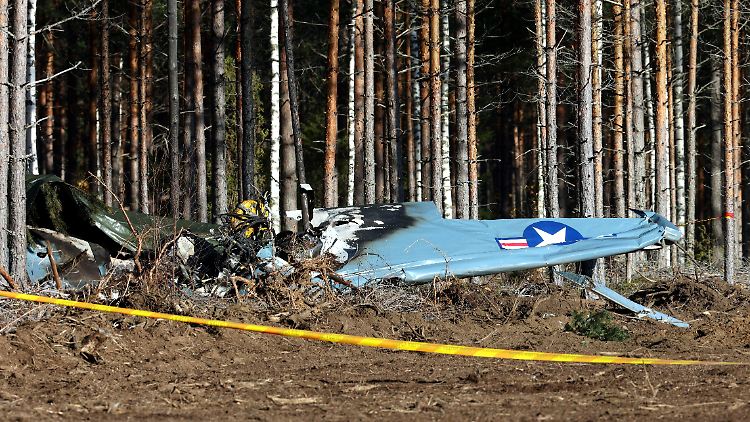 Das Sportflugzeug stürzte in ein Waldstück.