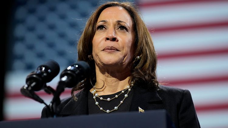 Eine Kindheitsanekdote soll Kamala Harris in ihrem Buch den Vorwürfen zufolge abgekupfert haben - und zwar von Martin Luther King.