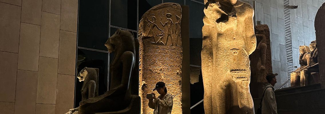 487954706.jpg