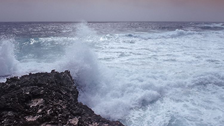  Einem Sprecher des örtlichen Rettungsamts zufolge waren die Wellen zum Zeitpunkt von Laidleys Verschwinden "extrem".​
