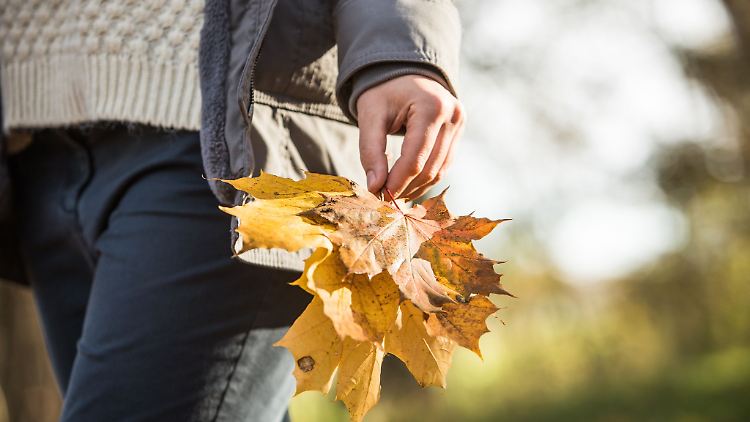 Regelmäßige Bewegung an der frischen Luft hilft, das Immunsystem zu unterstützen.