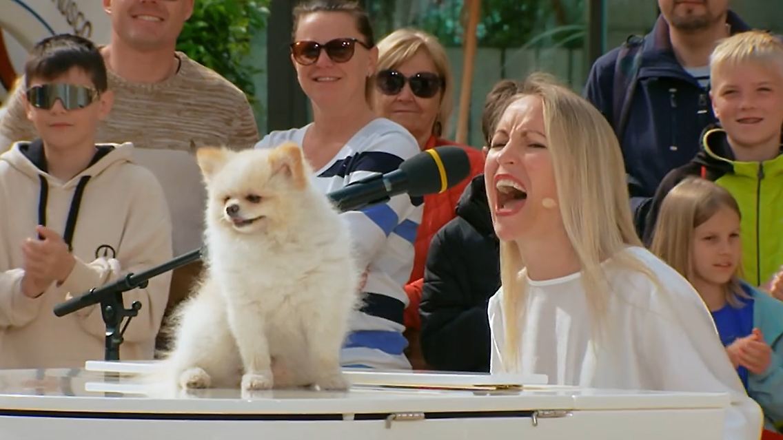 DSDS_Hund.jpg